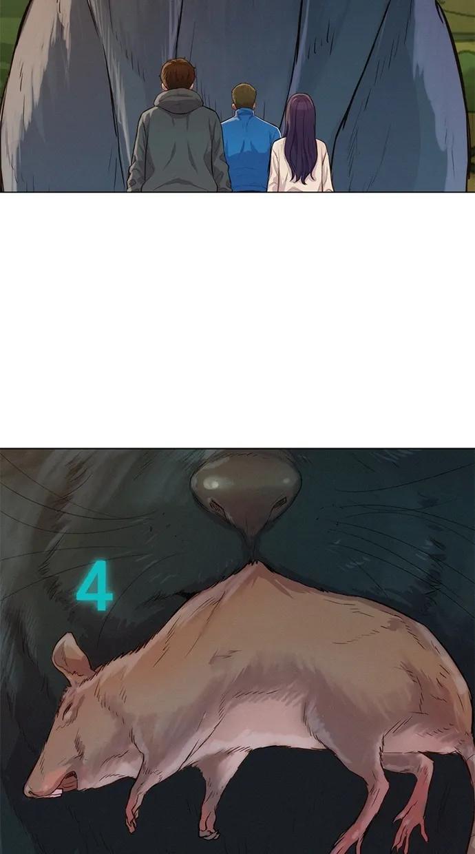 46.jpg