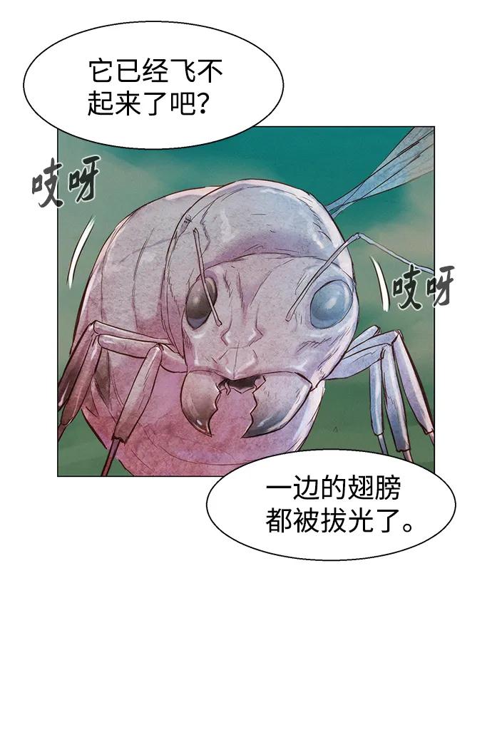 49.jpg