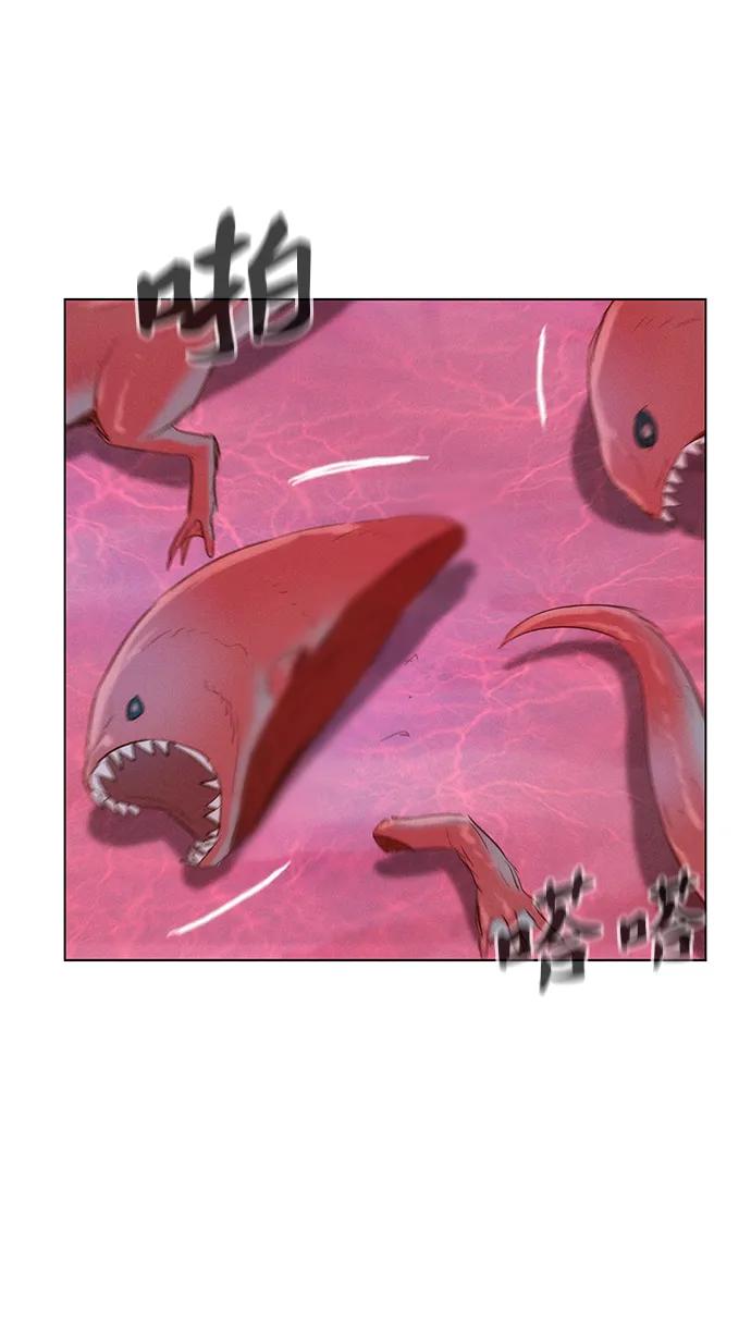 41.jpg