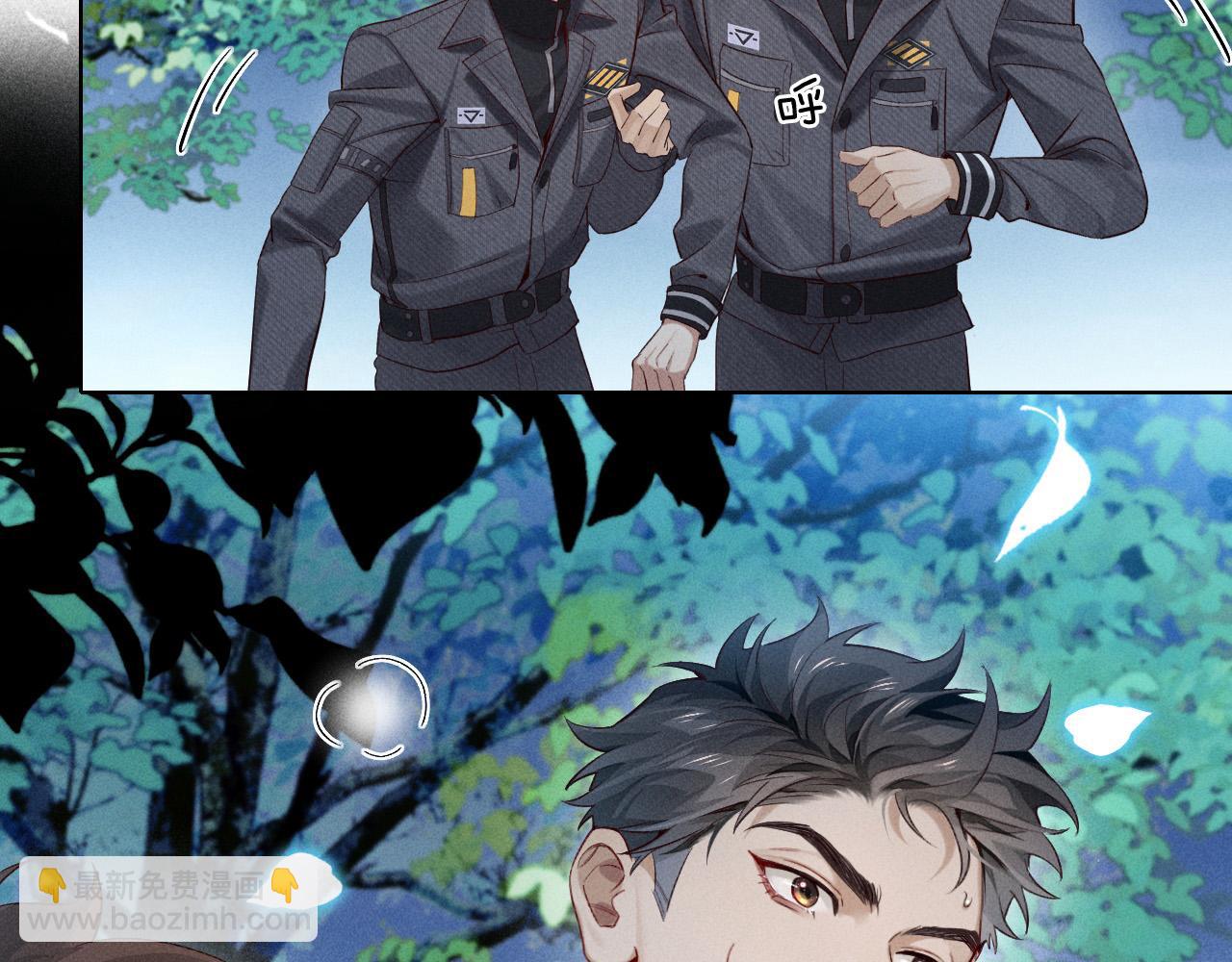 17.jpg