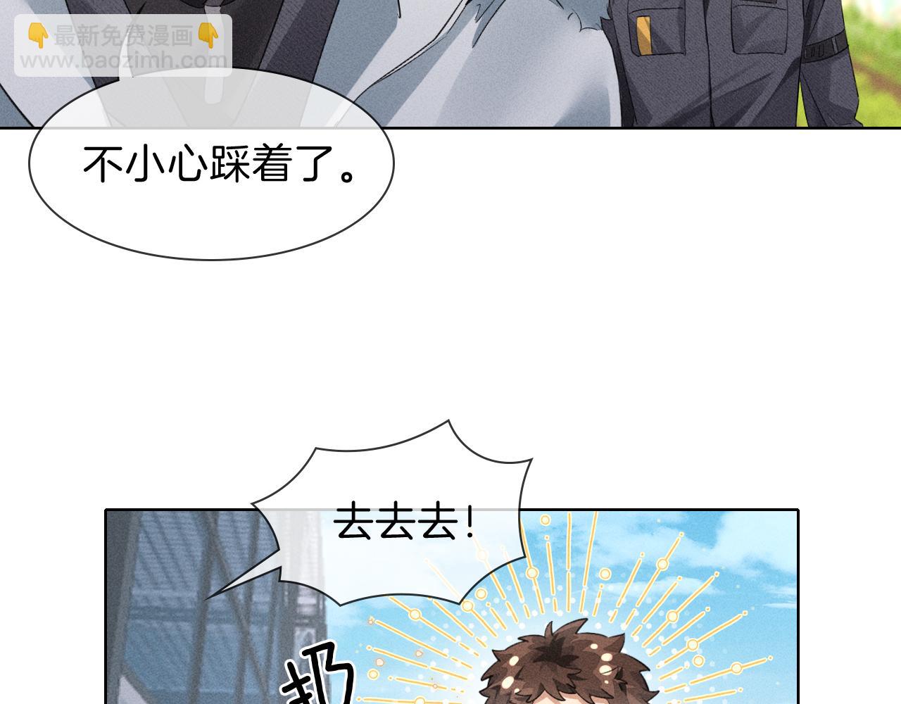 43.jpg