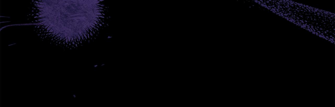 45.jpg