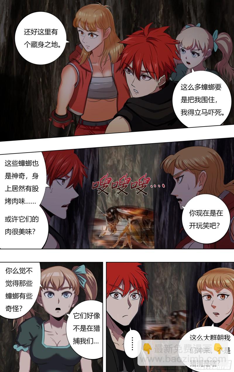 5.jpg