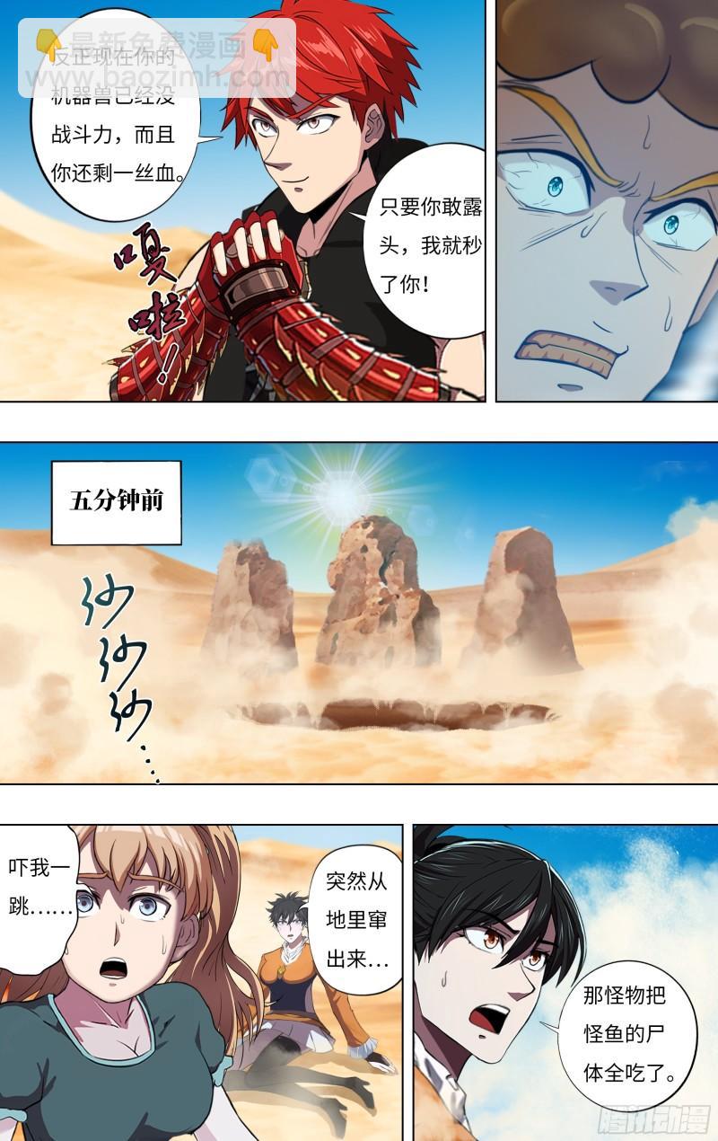 5.jpg