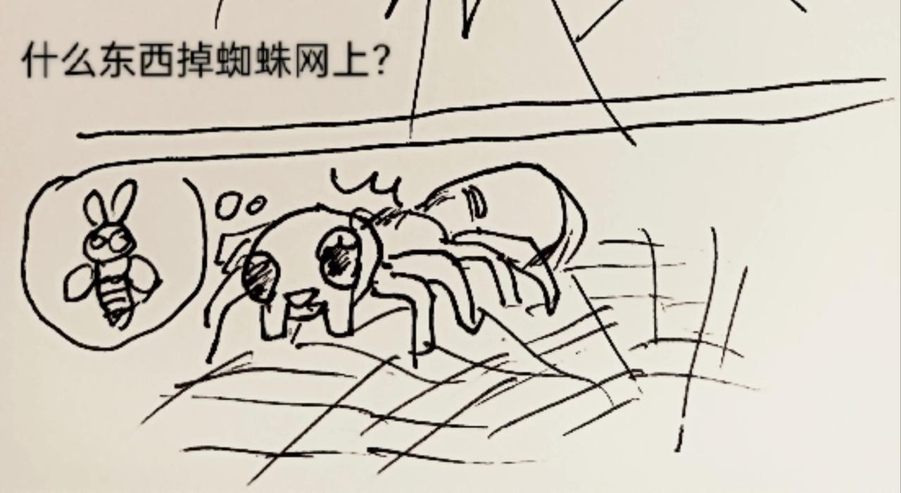 26.jpg