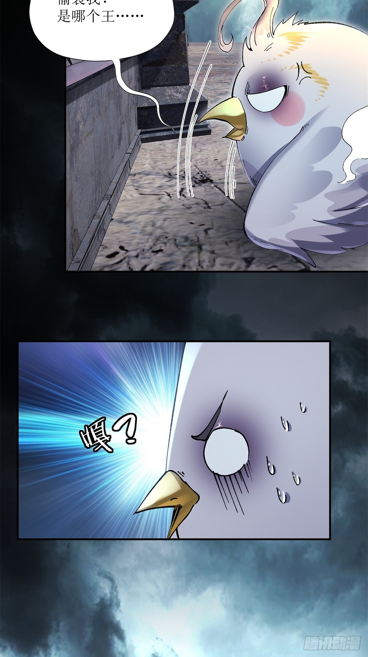 40.jpg