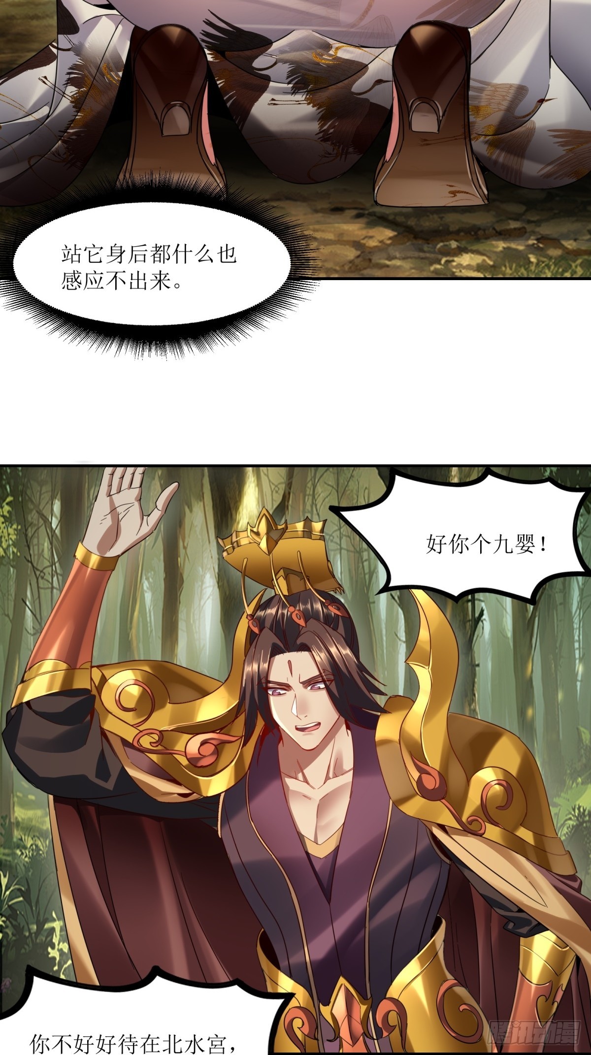 46.jpg