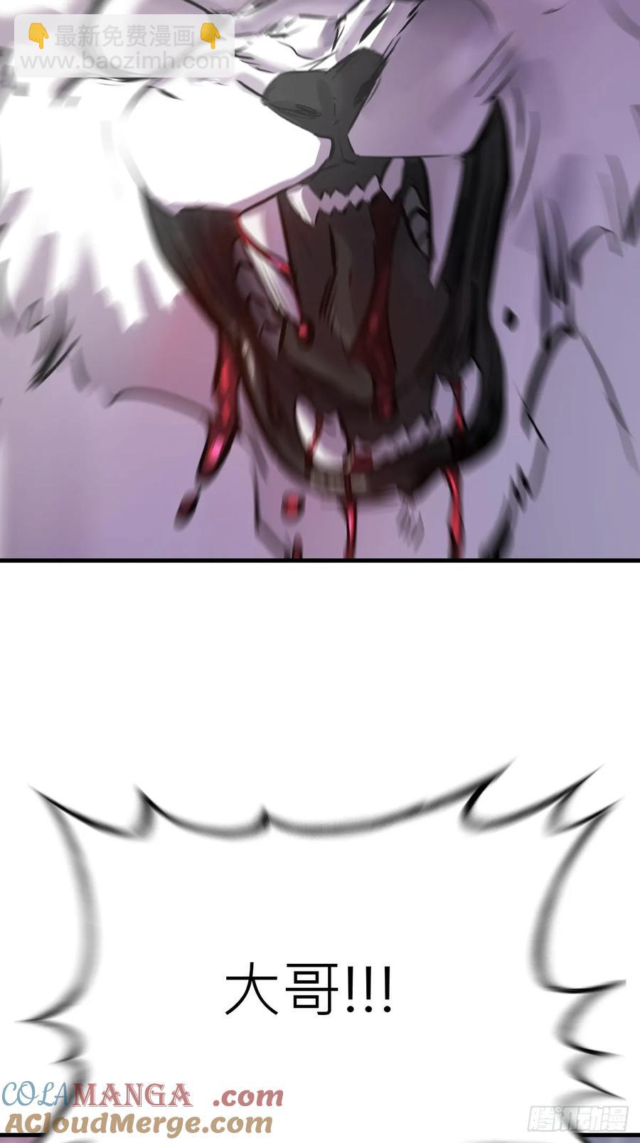 43.jpg