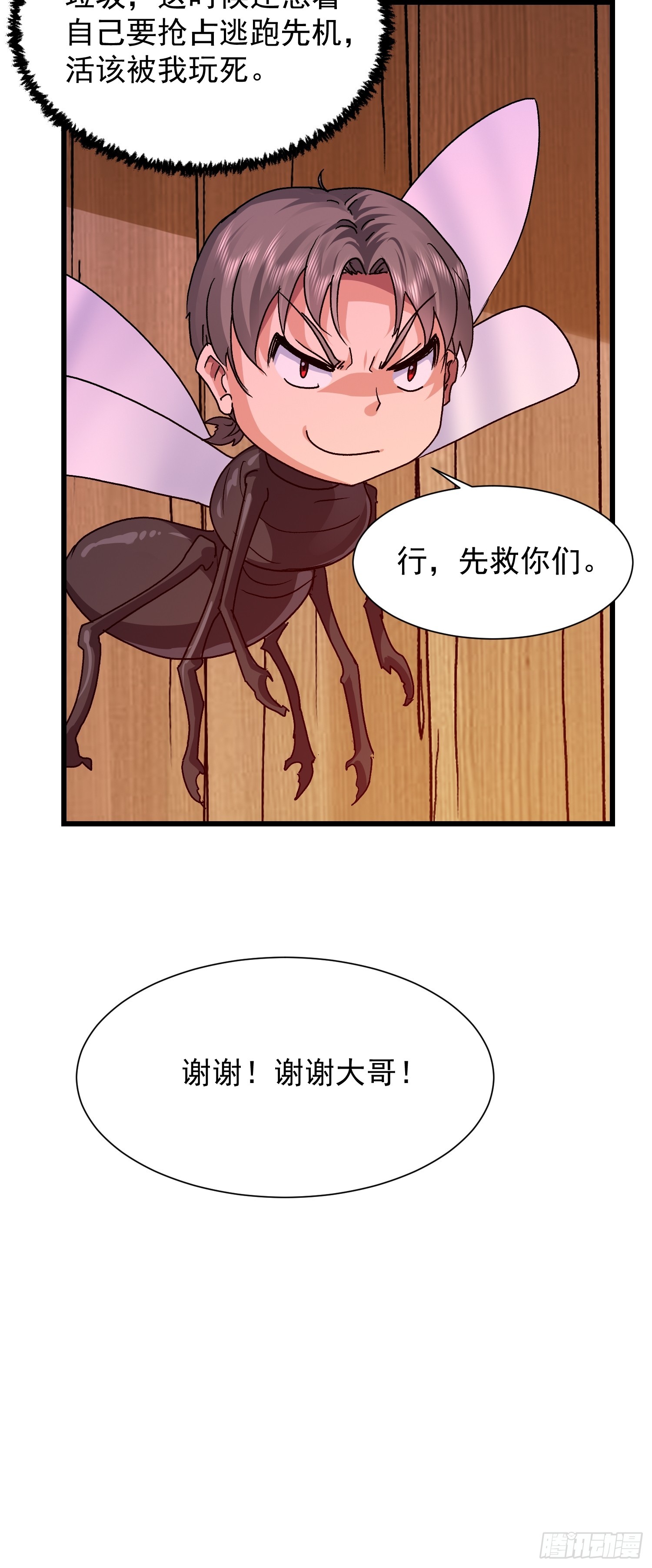 43.jpg