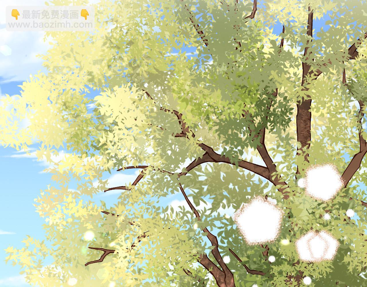 29.jpg
