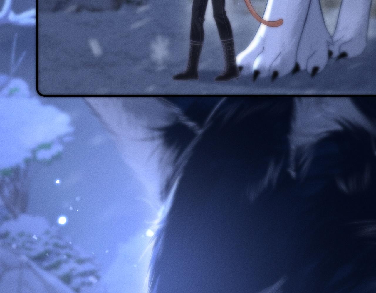 40.jpg