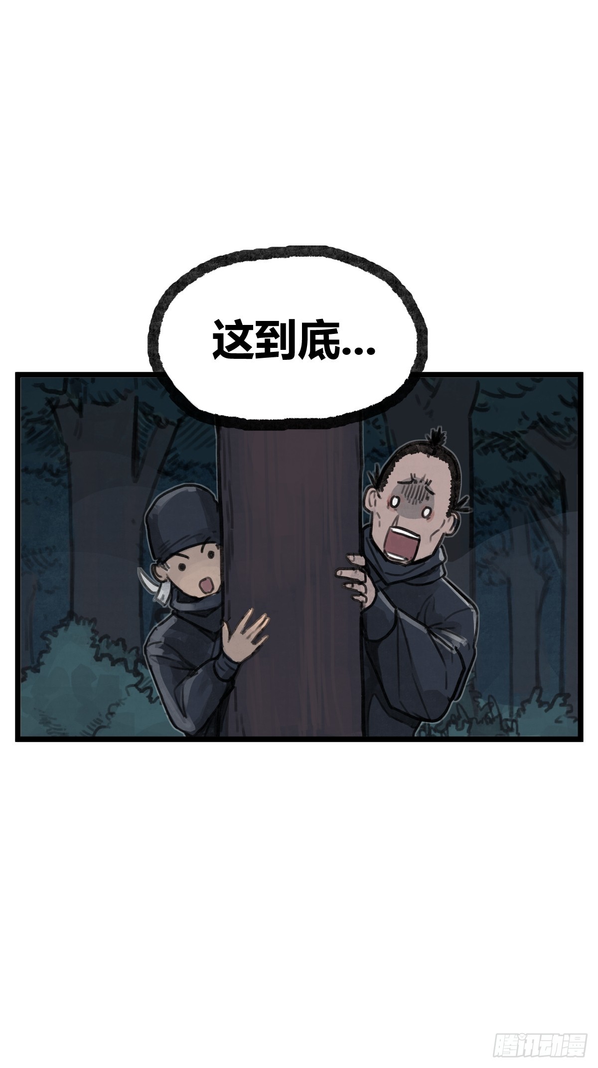 15.jpg