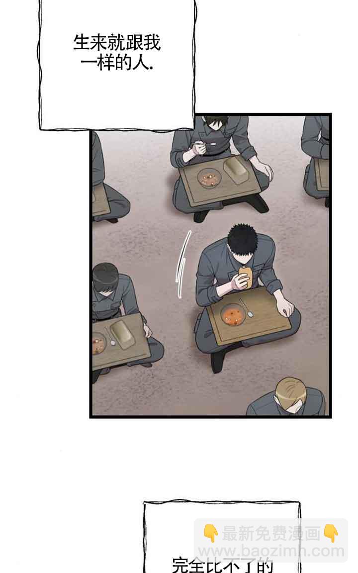 41.jpg