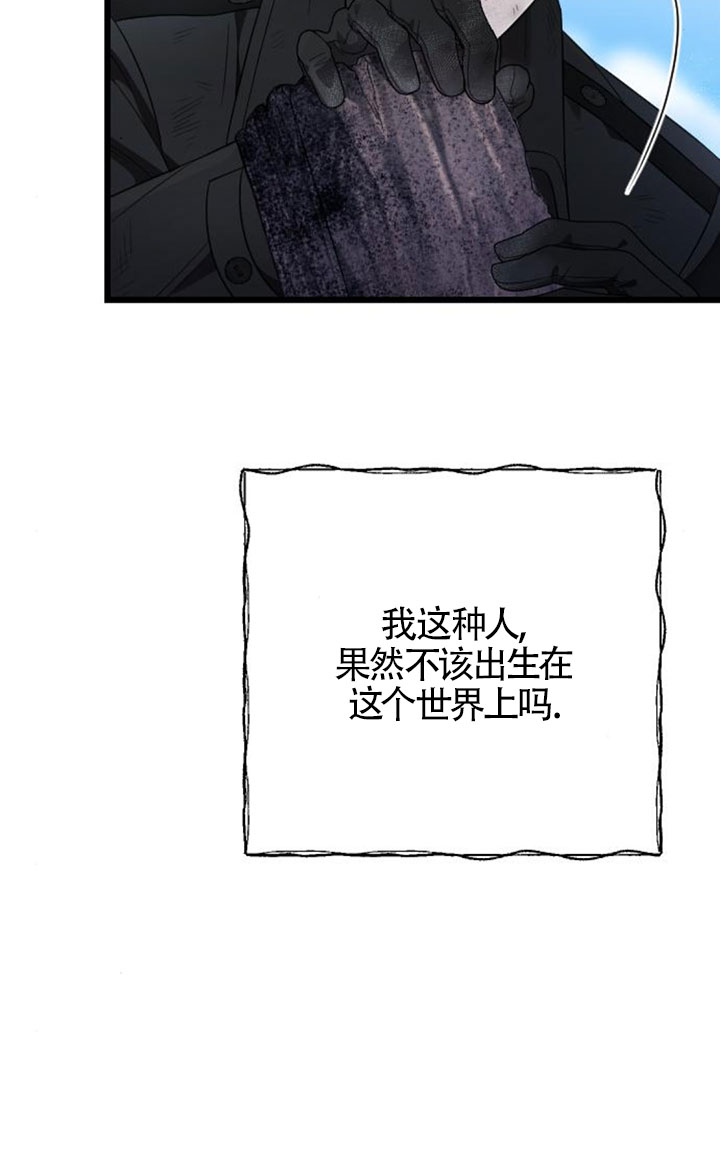 48.jpg