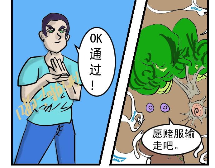 26.jpg