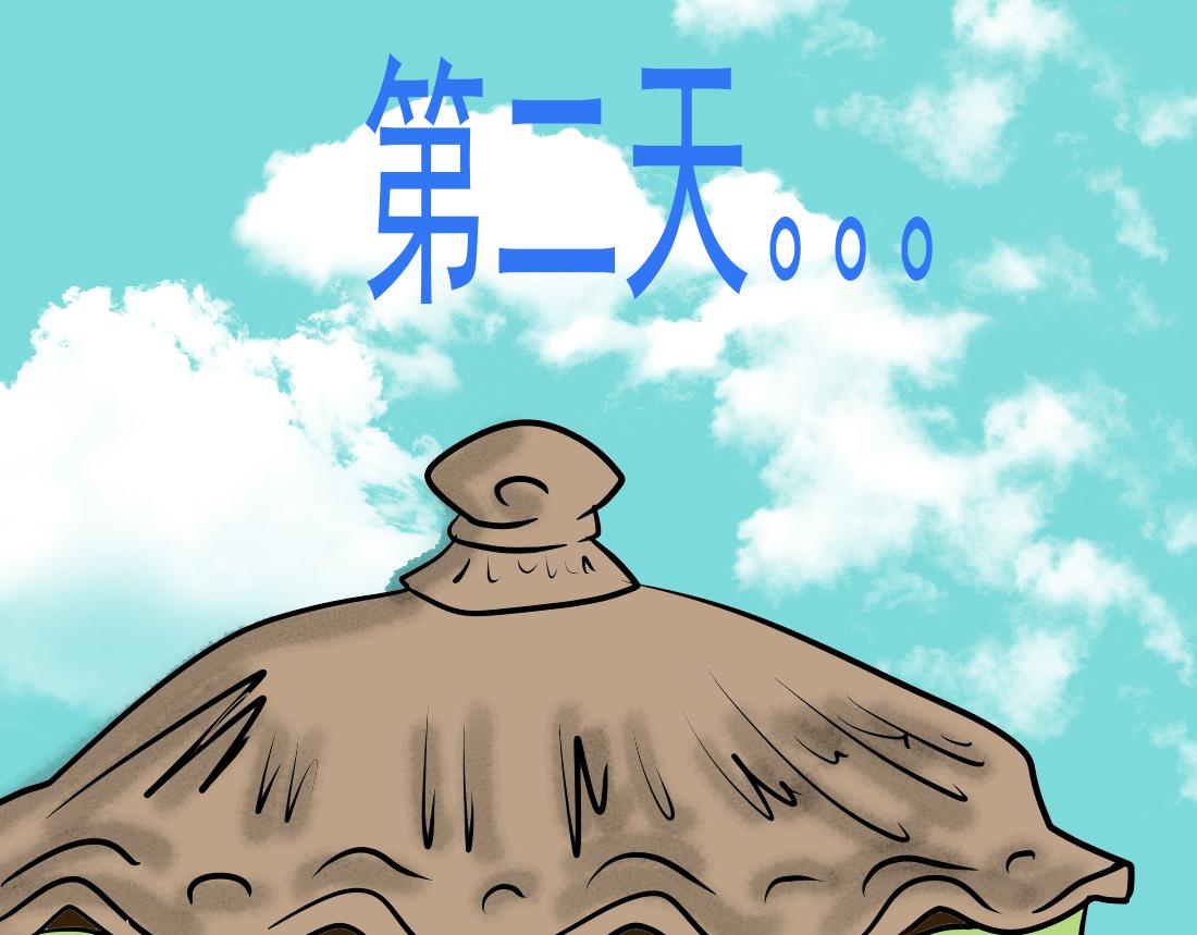15.jpg