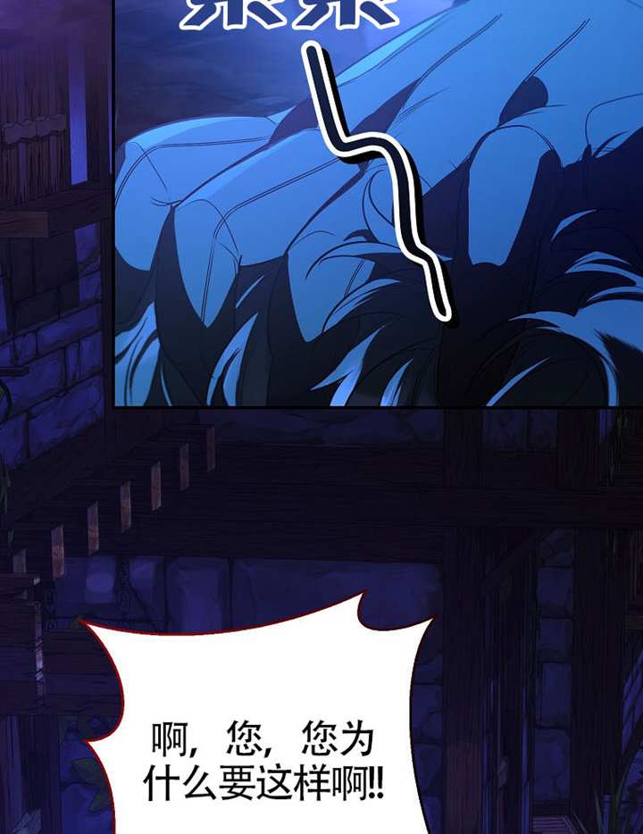 48.jpg