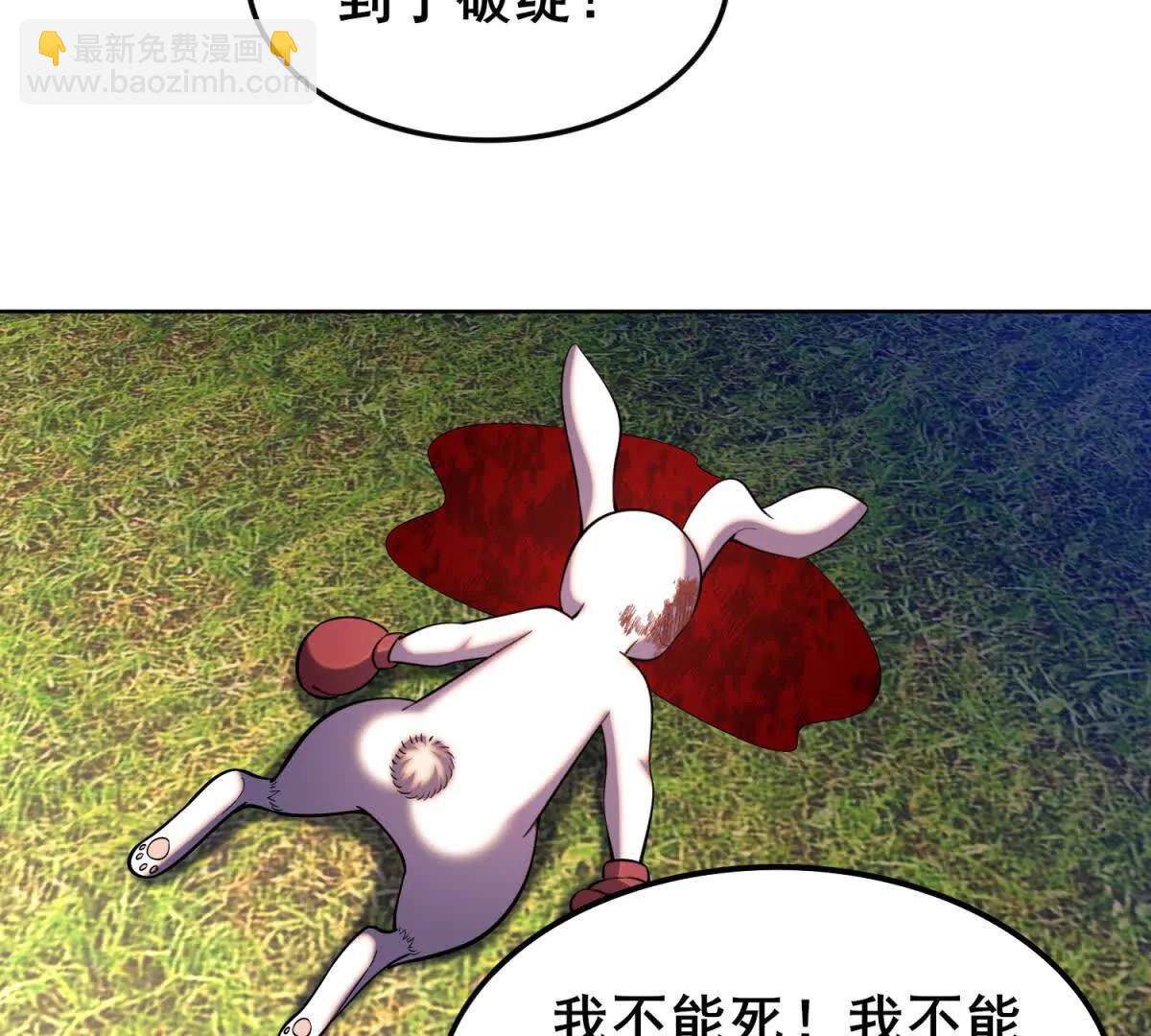 43.jpg