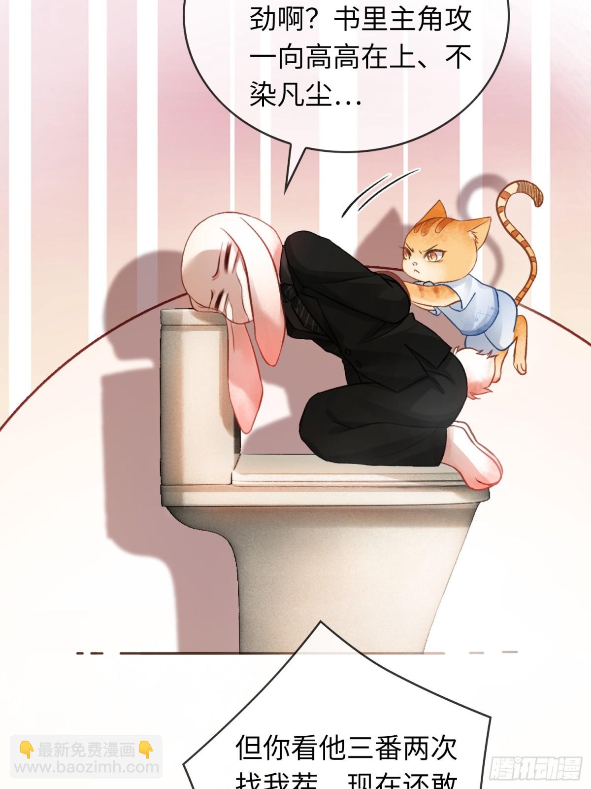 47.jpg