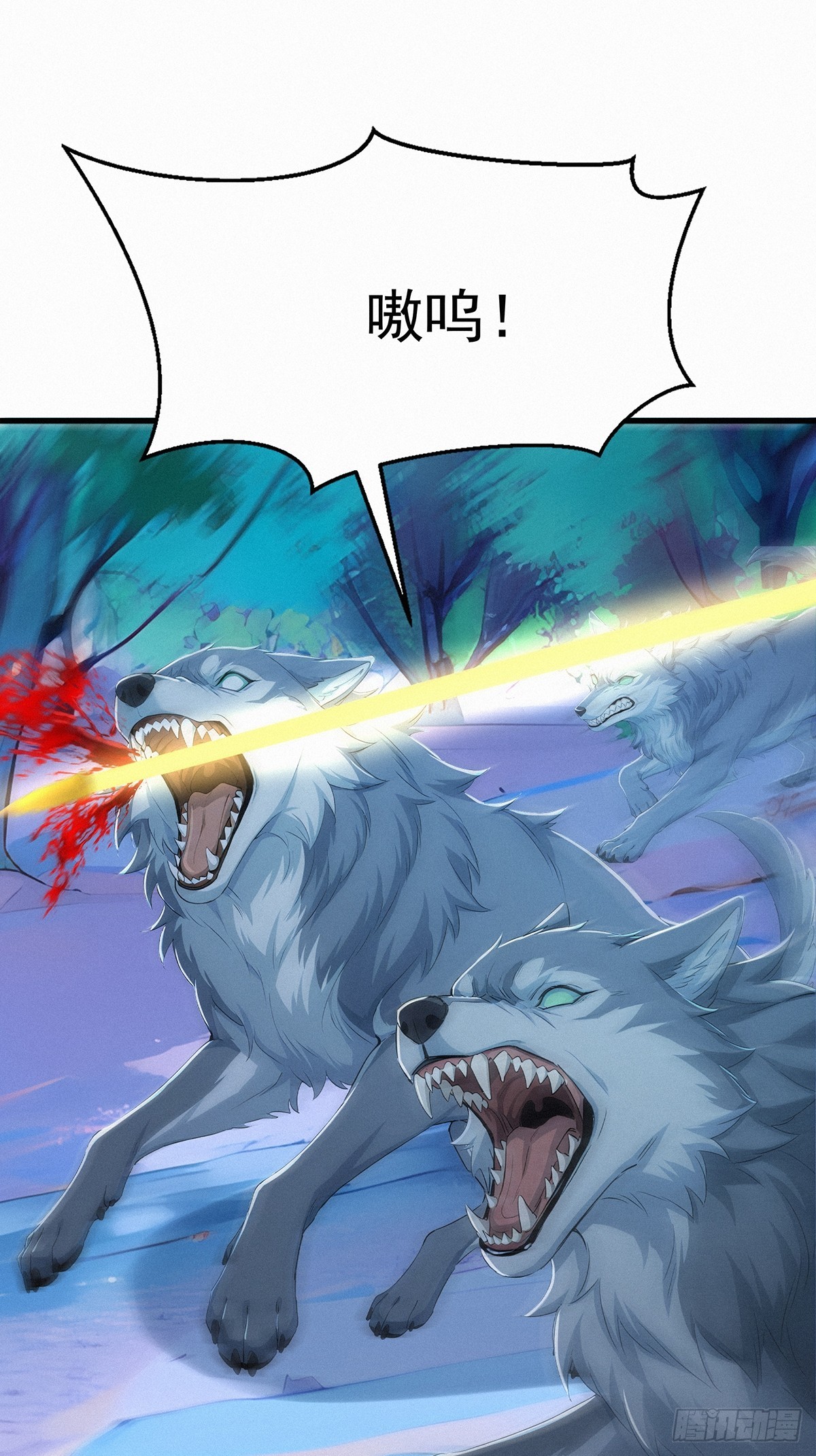 12.jpg