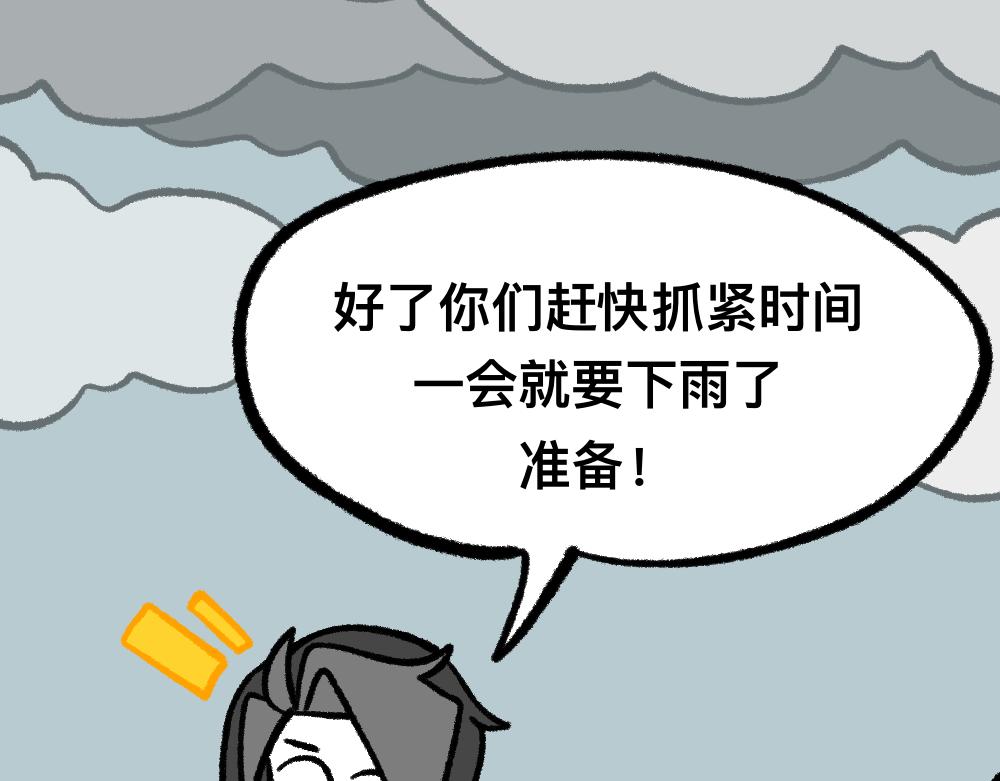 43.jpg