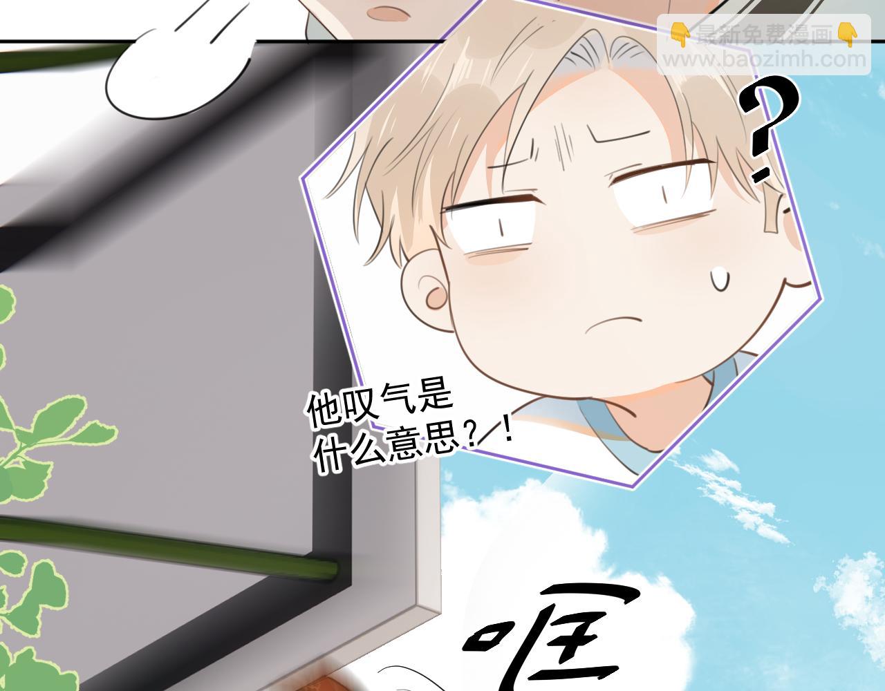 48.jpg
