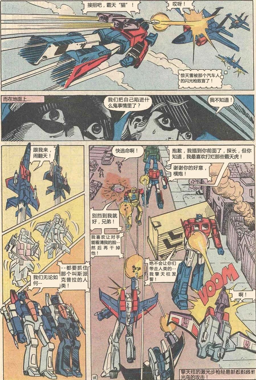 19.jpg