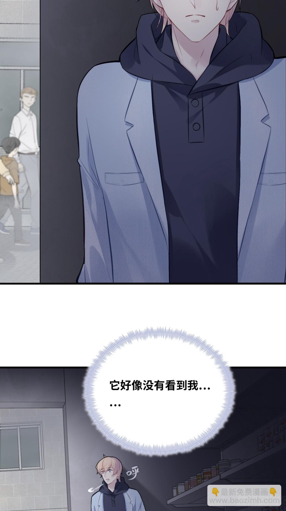 26.jpg