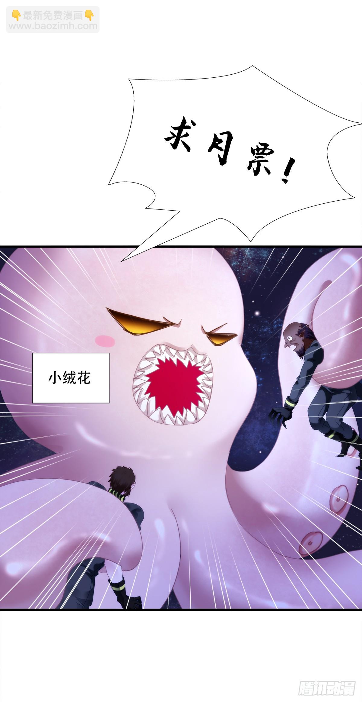 49.jpg