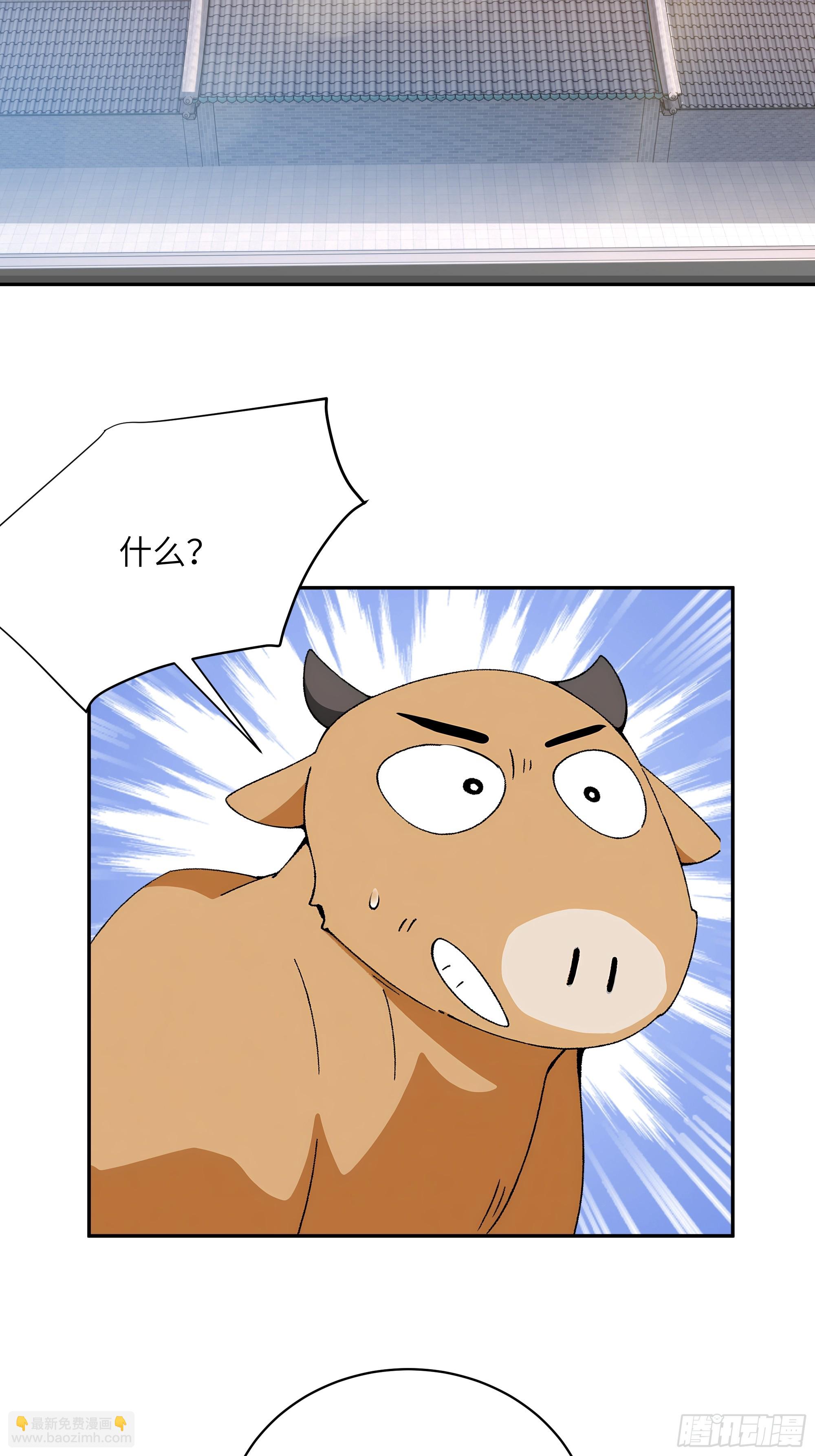 47.jpg