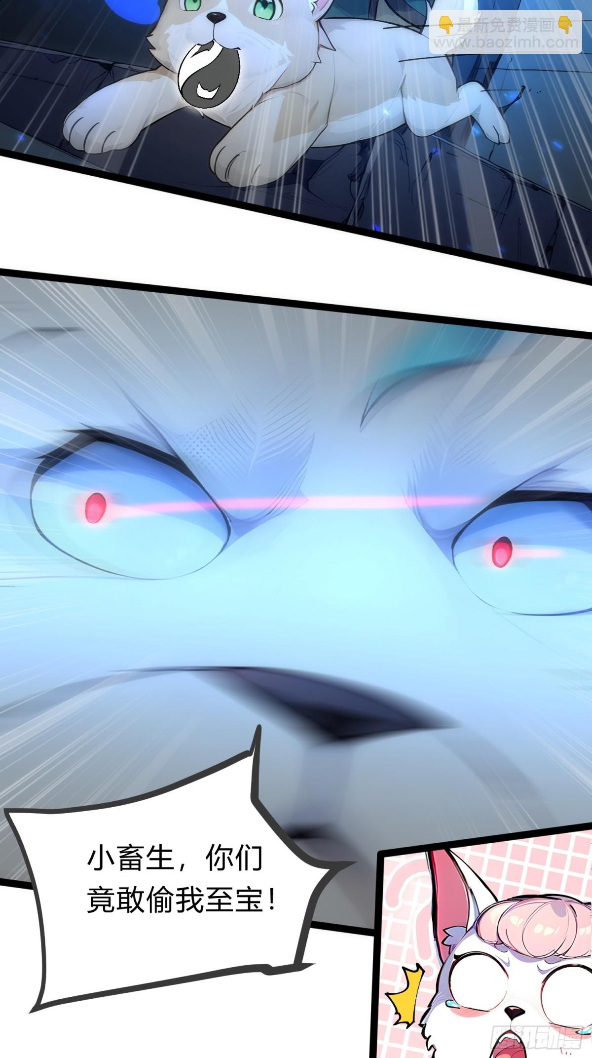 24.jpg