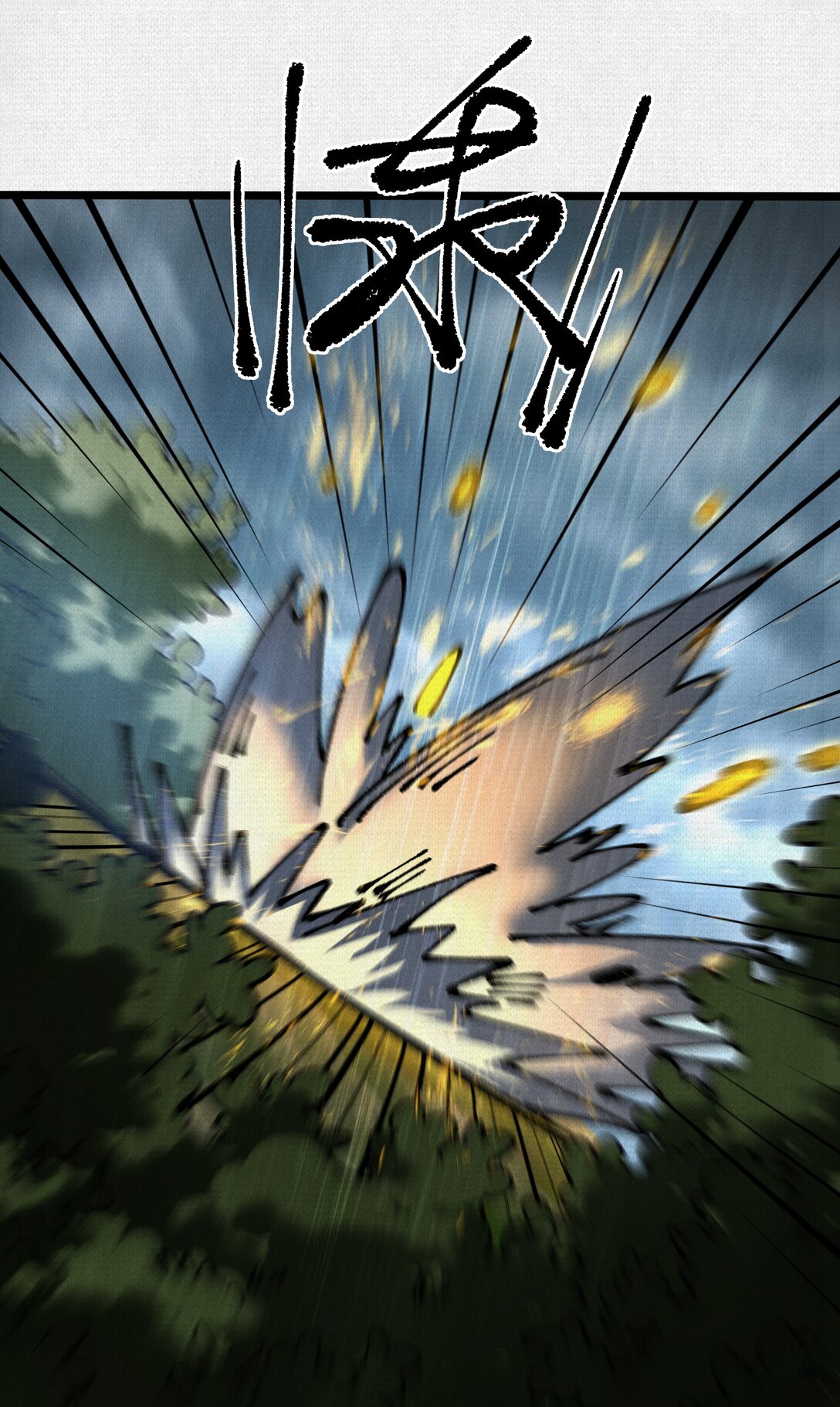 43.jpg
