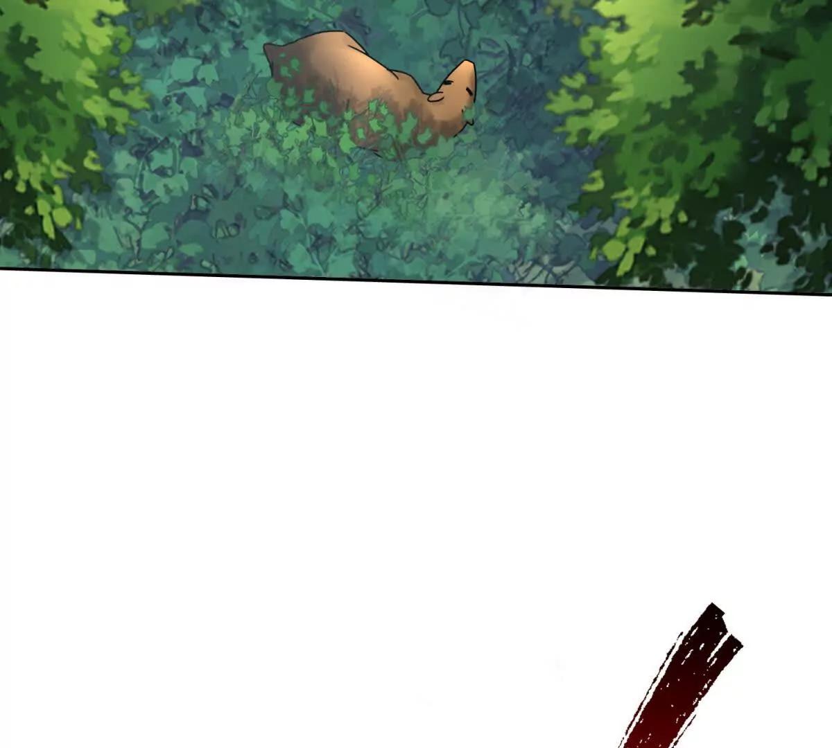41.jpg