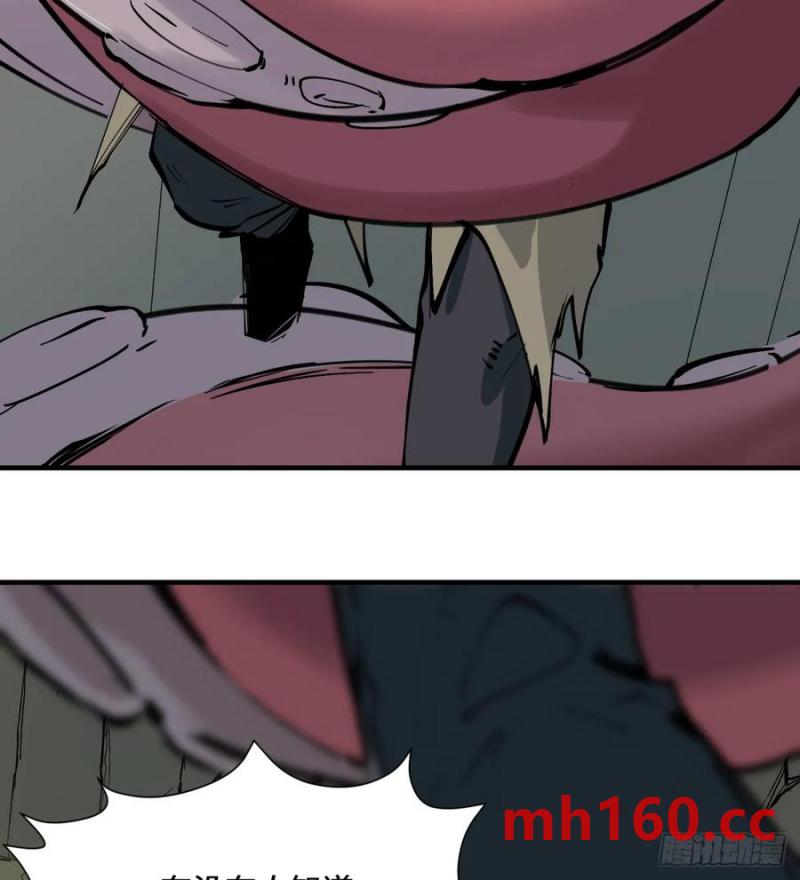 48.jpg