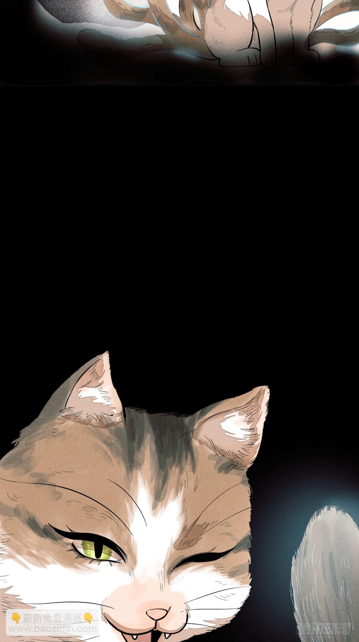 37.jpg