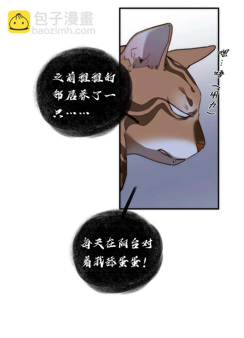 19.jpg
