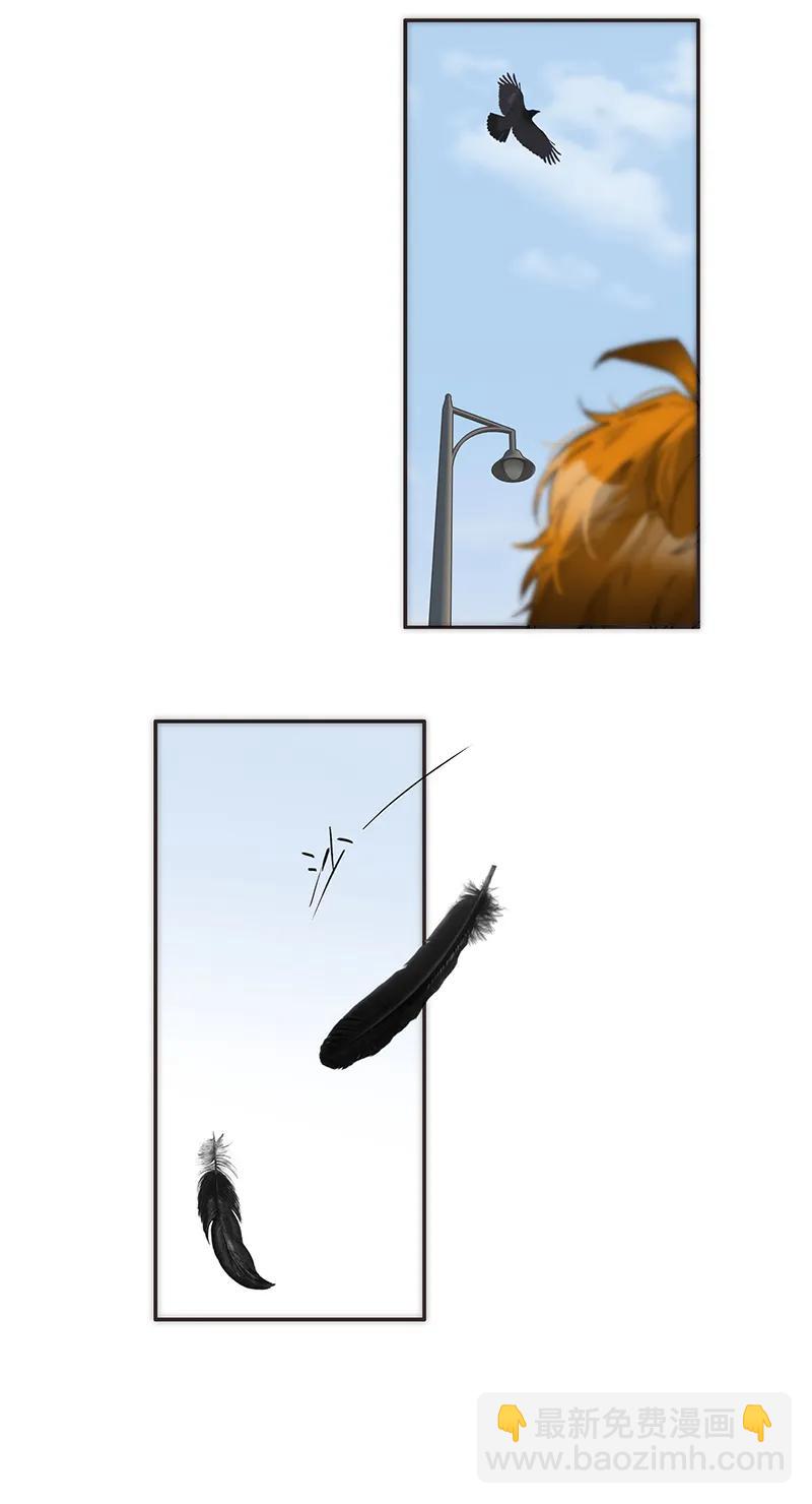 43.jpg