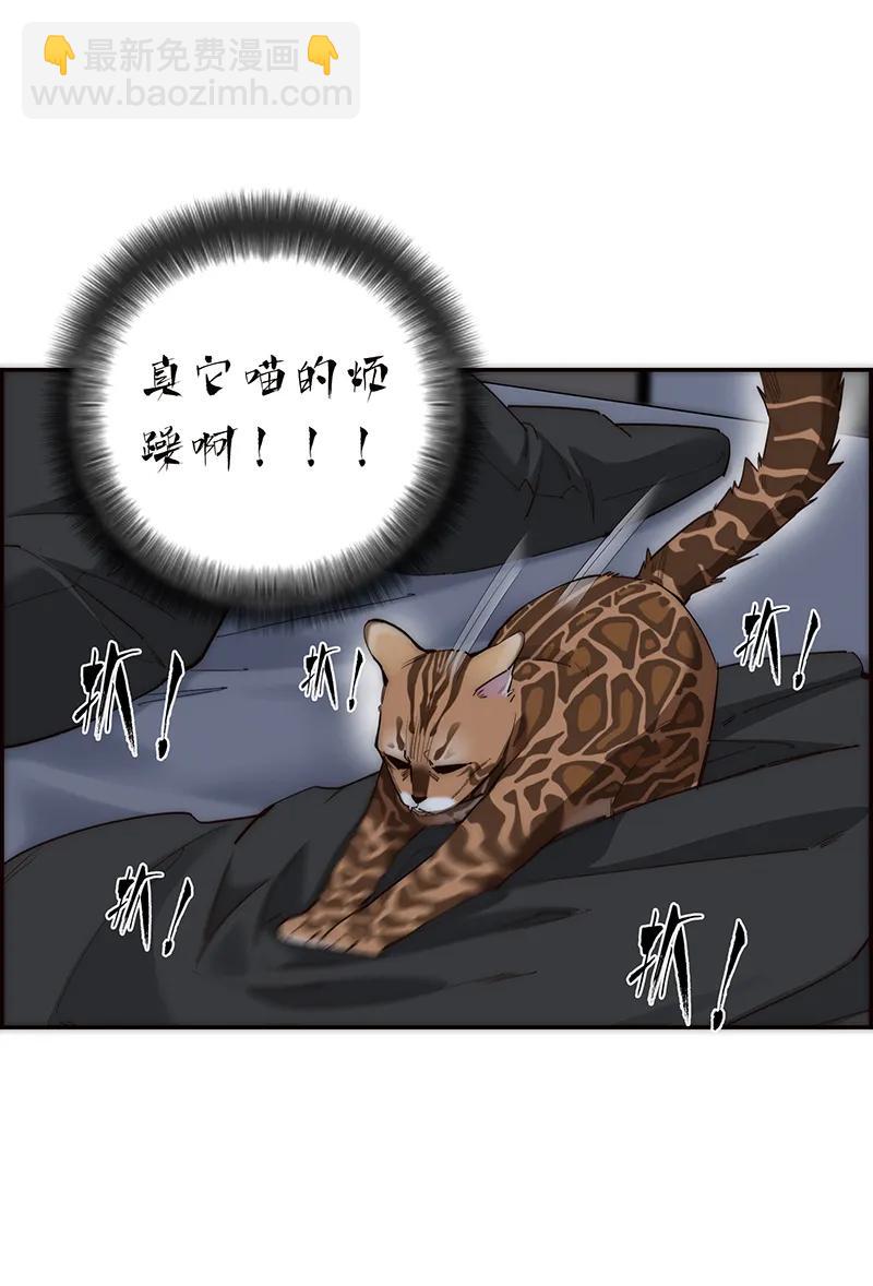 35.jpg