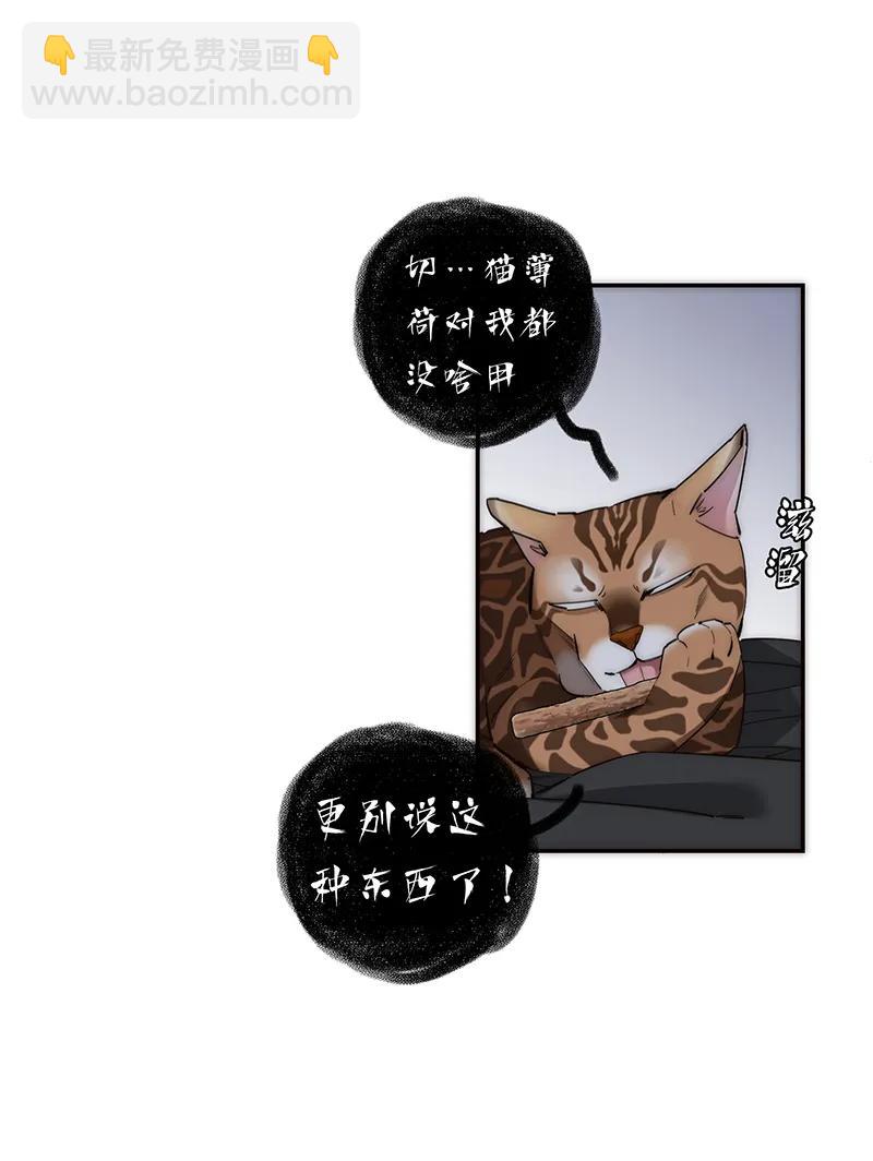 38.jpg