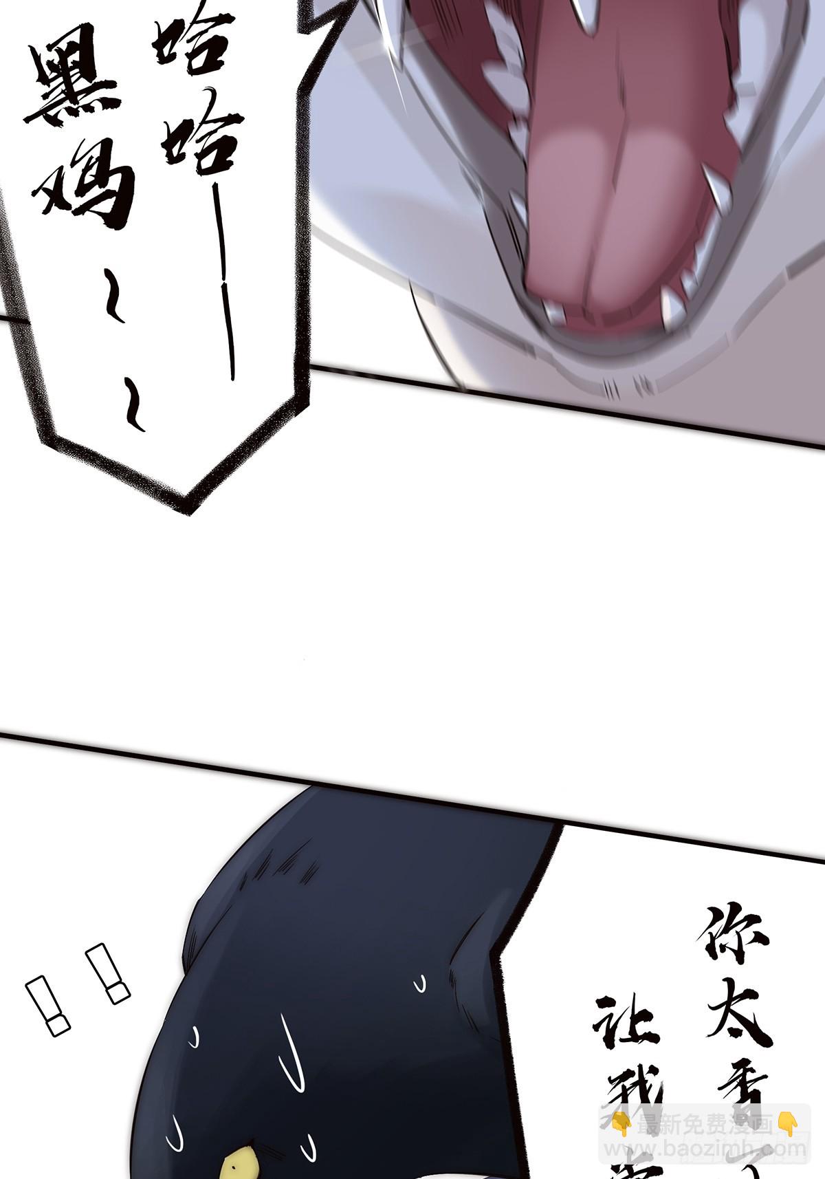 46.jpg
