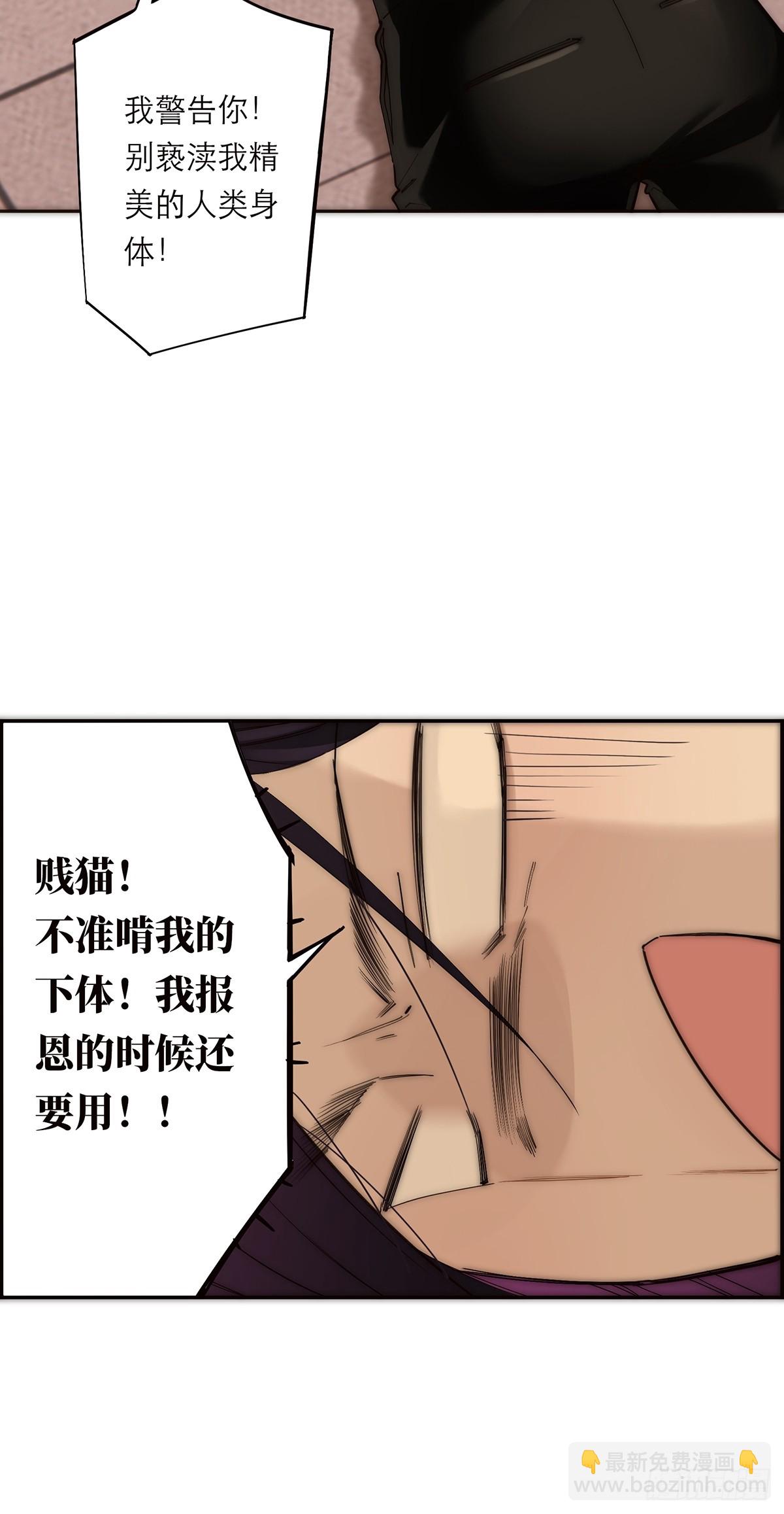 38.jpg