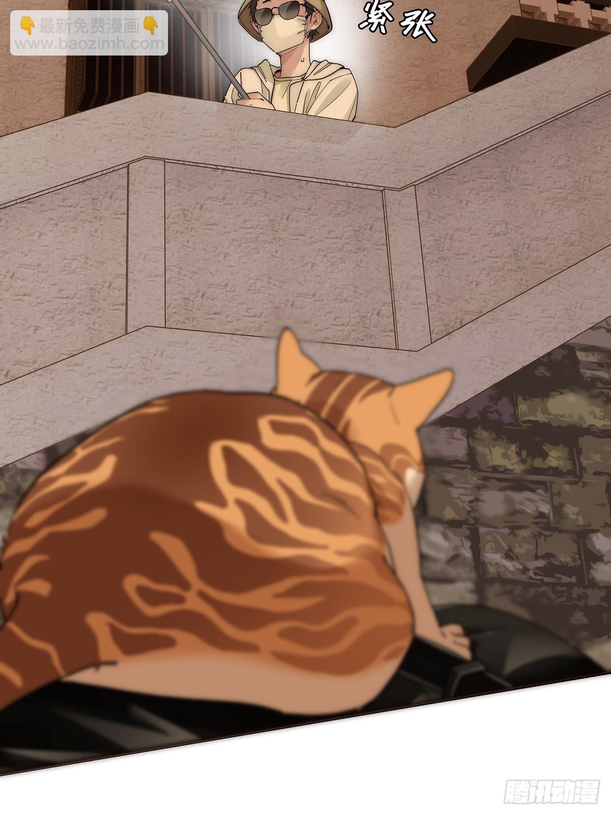 41.jpg