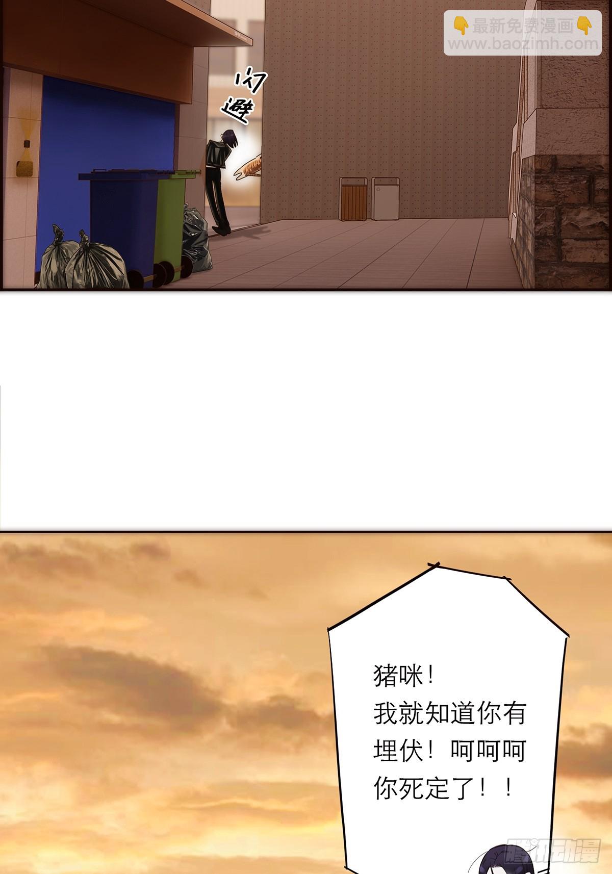 26.jpg