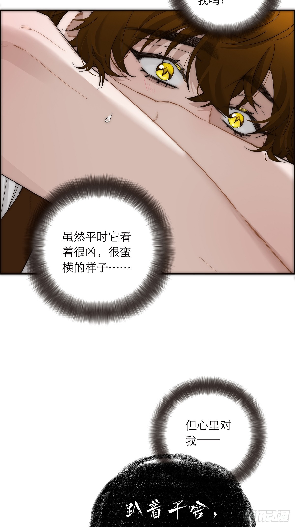 37.jpg