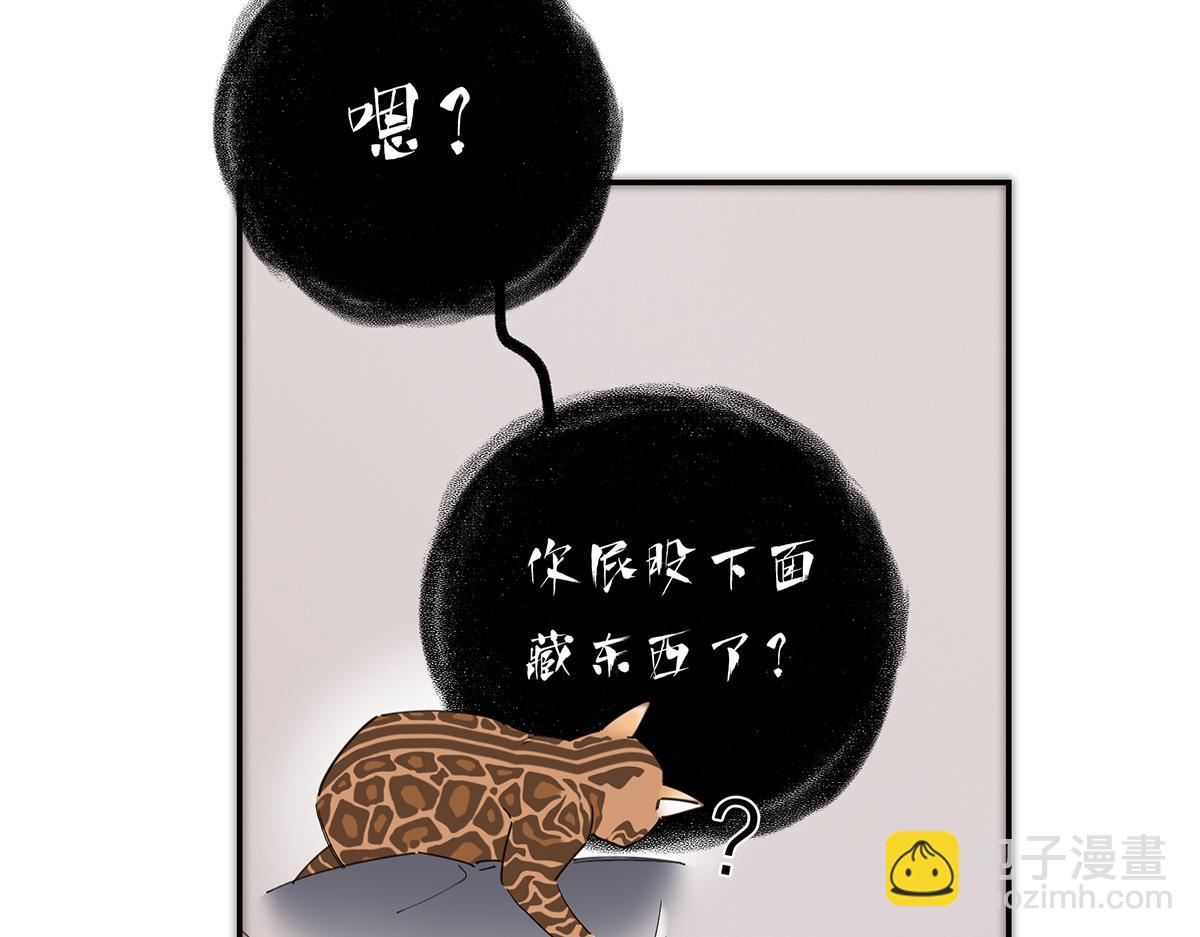 29.jpg