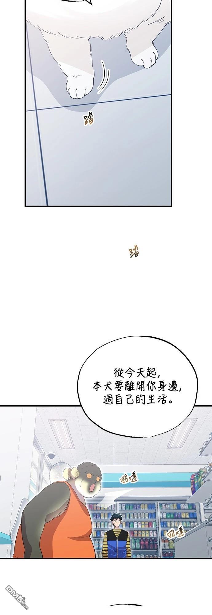 40.jpg