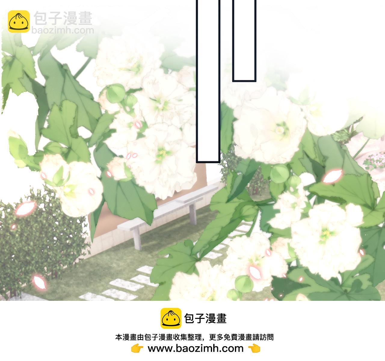 50.jpg