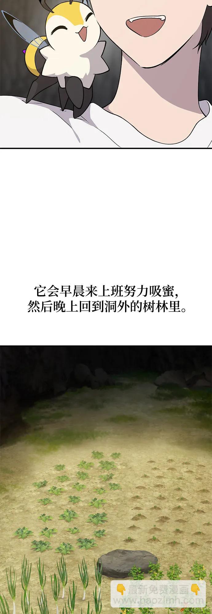 47.jpg