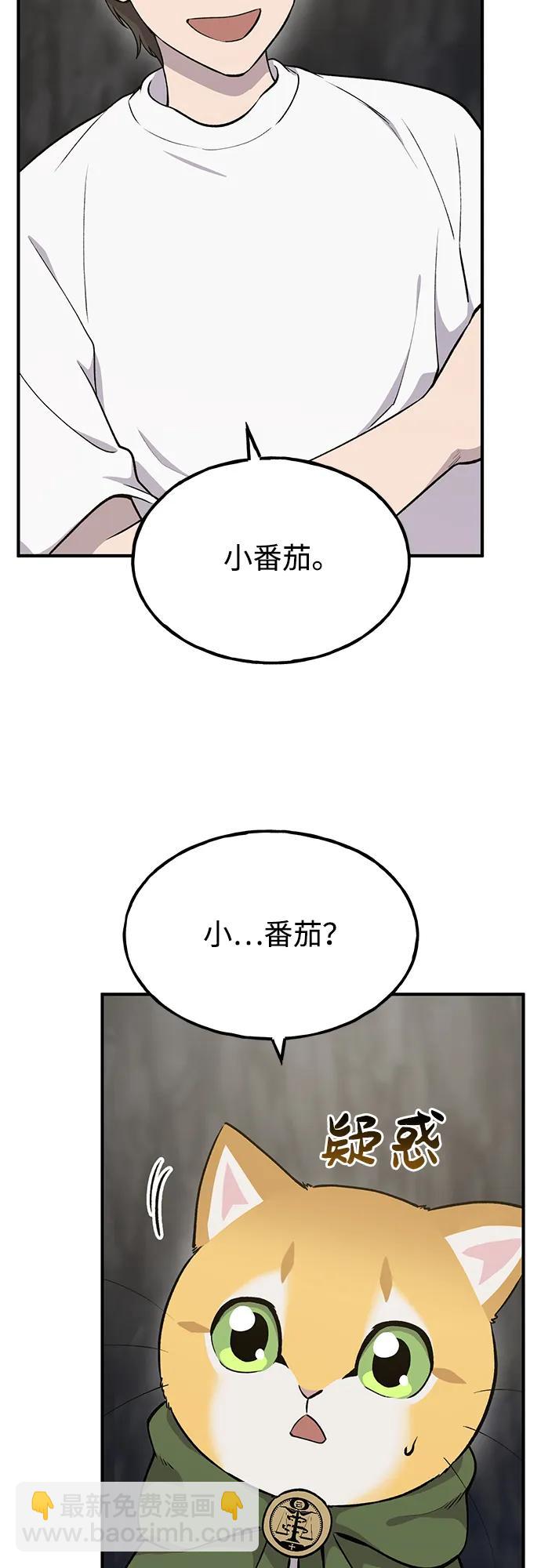 46.jpg