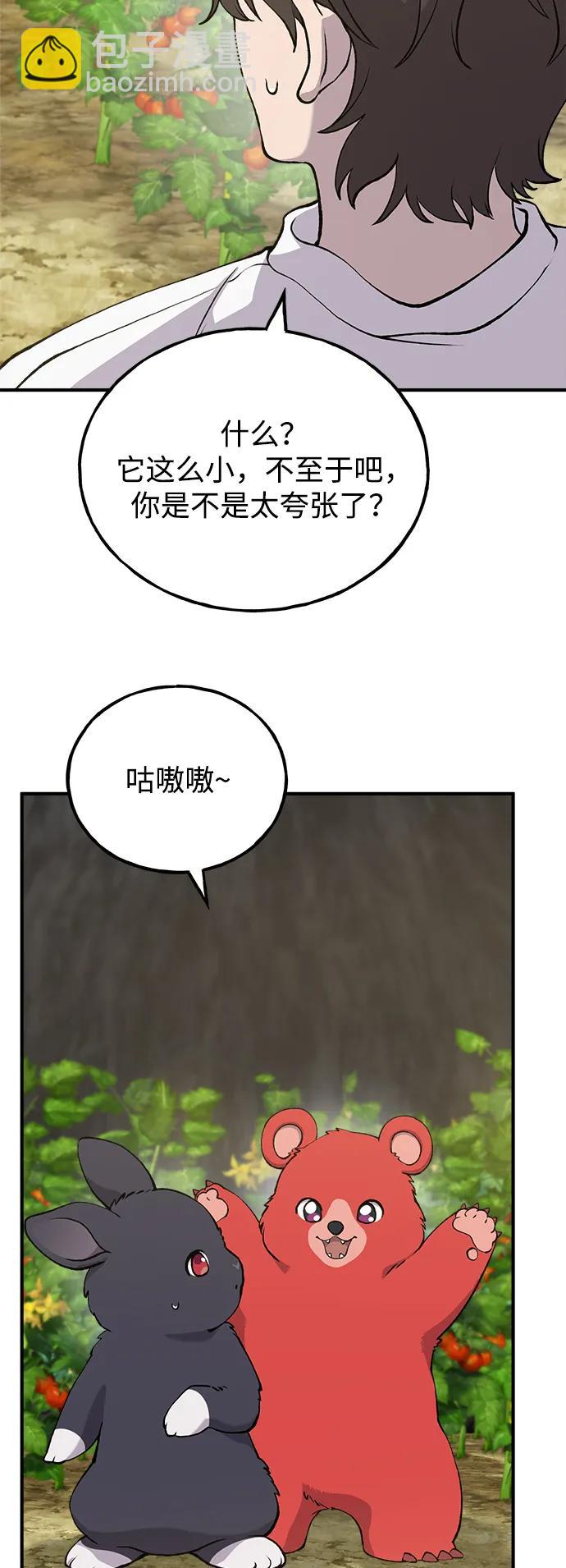 16.jpg